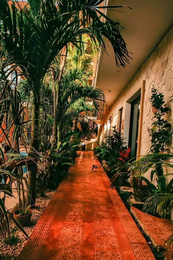 ***  Hotel Lechuga De Mar Tulum With Pool And Beach Club Access Mexico