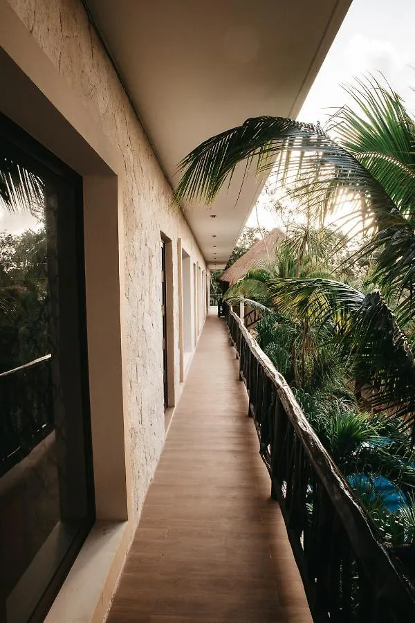 ***  Hotel Lechuga De Mar Tulum With Pool And Beach Club Access Mexico
